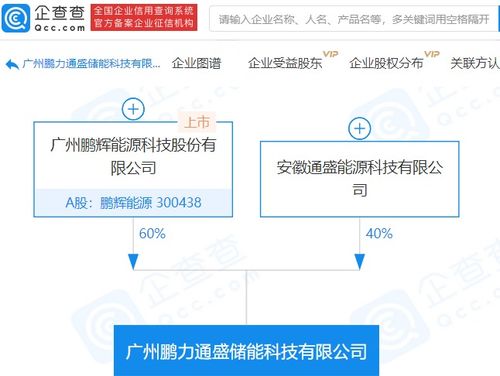 鵬輝能源參股成立儲能科技新公司，注冊資本達(dá)1億元，拓展信息系統(tǒng)集成服務(wù)