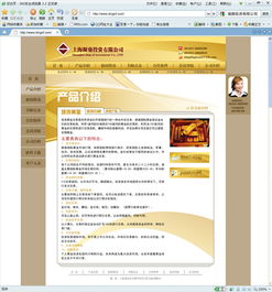 網(wǎng)站設(shè)計(jì)的關(guān)鍵要素 從網(wǎng)頁(yè)到整體用戶體驗(yàn)