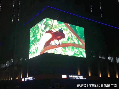 戶外小間距P3全彩高清LED廣告屏參數(shù)及造價預算解析